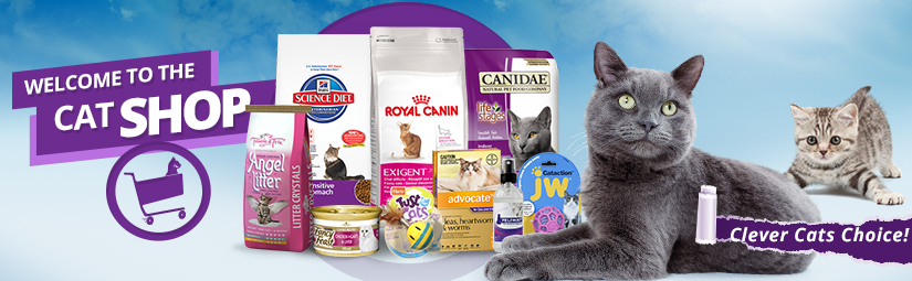 cat_banner_sky